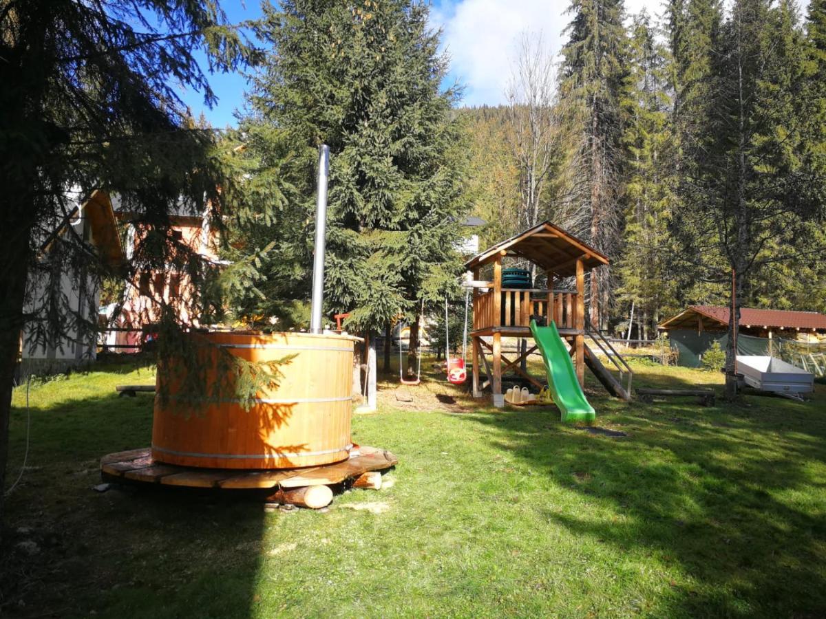Complex Transalpina Voineasa