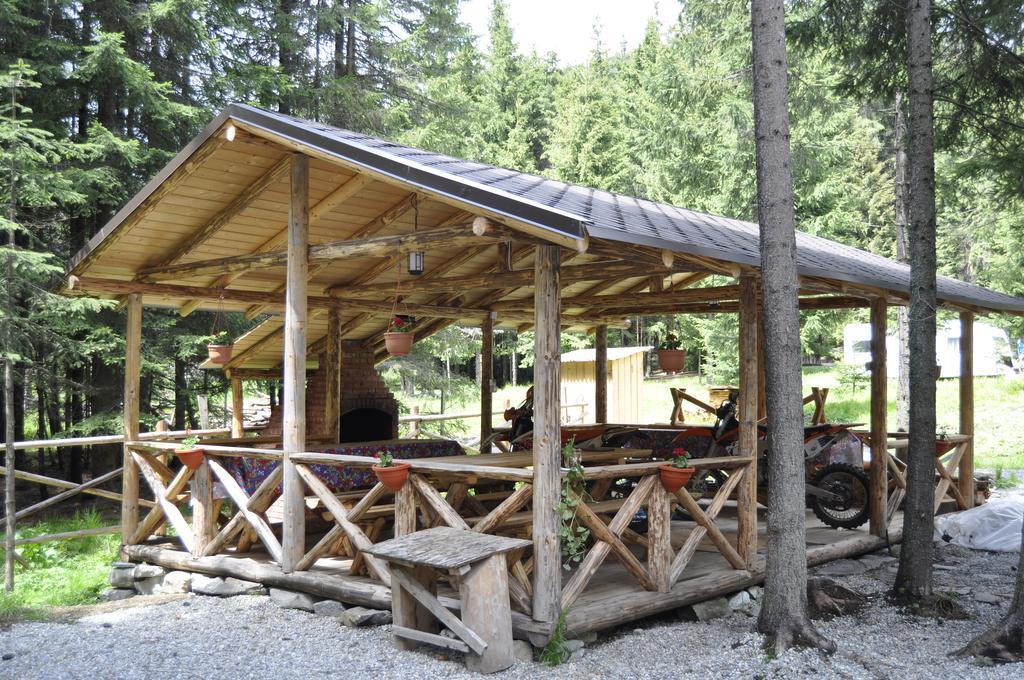 Complex Transalpina