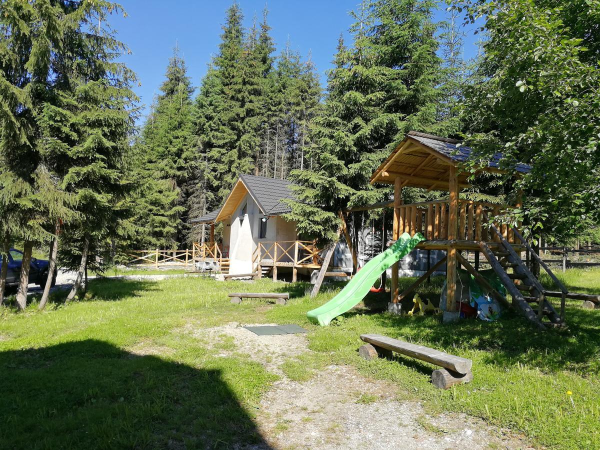 Complex Transalpina Maison d'hôtes Voineasa